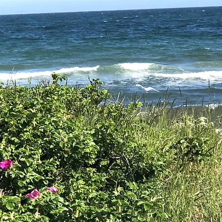 Tuulikki - 100m From The Sea By Interhome * Nyrup